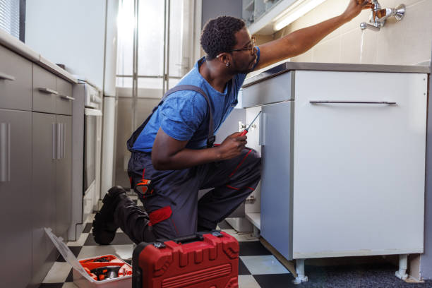 Best Clogged Drain Plumber  in Mono Vista, CA